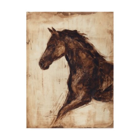 Ethan Harper 'Weathered Equestrian I' Canvas Art,14x19